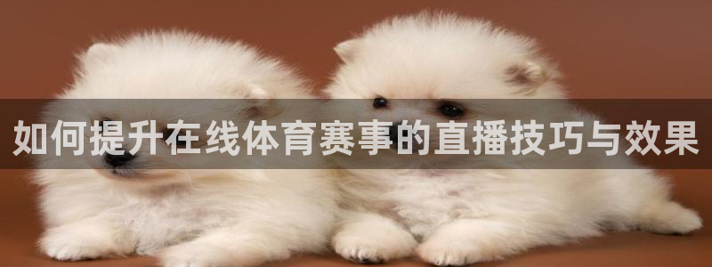 如何提升在线体育赛事的直播技巧与效果