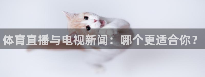 体育直播与电视新闻：哪个更适合你？