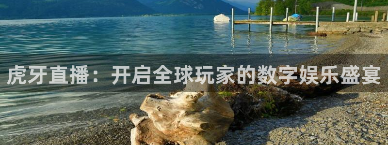 虎牙直播：开启全球玩家的数字娱乐盛宴