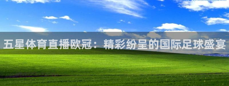 五星体育直播欧冠：精彩纷呈的国际足球盛宴