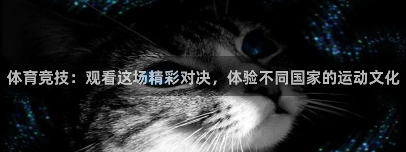 体育竞技：观看这场精彩对决，体验不同国家的运动文化