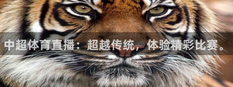 中超体育直播：超越传统，体验精彩比赛。