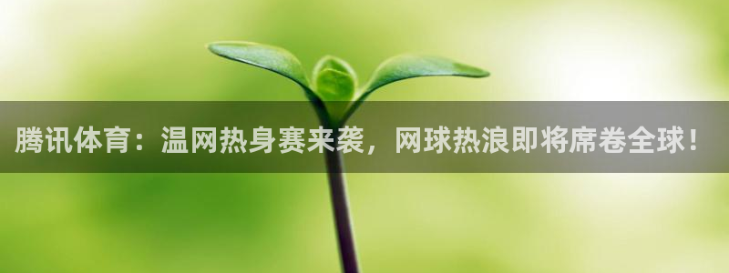 腾讯体育：温网热身赛来袭，网球热浪即将席卷全球！