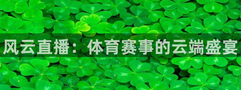 风云直播：体育赛事的云端盛宴