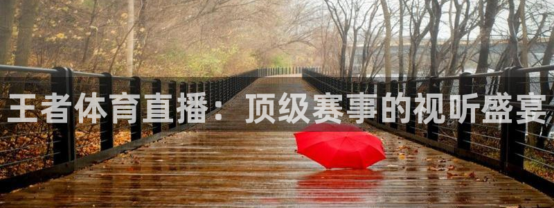 王者体育直播：顶级赛事的视听盛宴