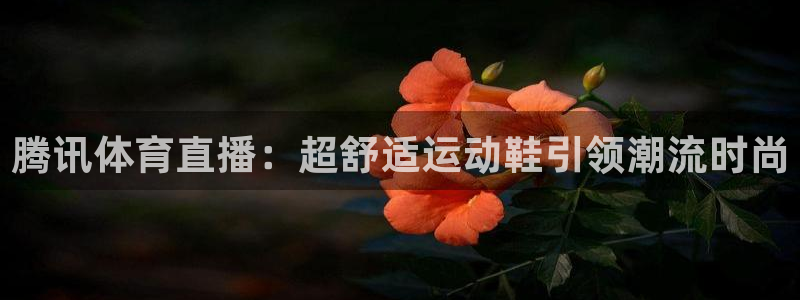 腾讯体育直播：超舒适运动鞋引领潮流时尚