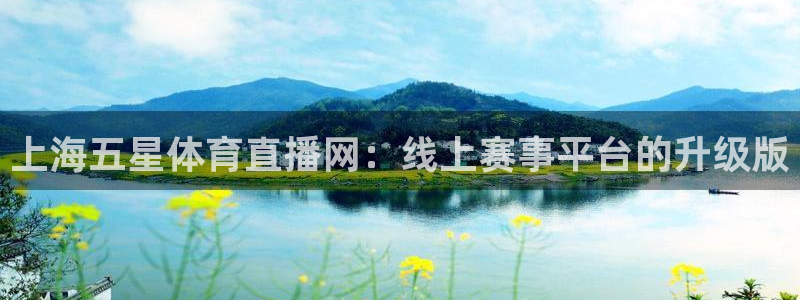 上海五星体育直播网：线上赛事平台的升级版