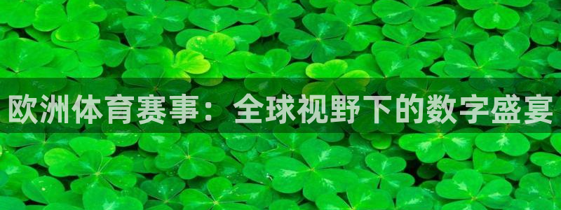 欧洲体育赛事：全球视野下的数字盛宴
