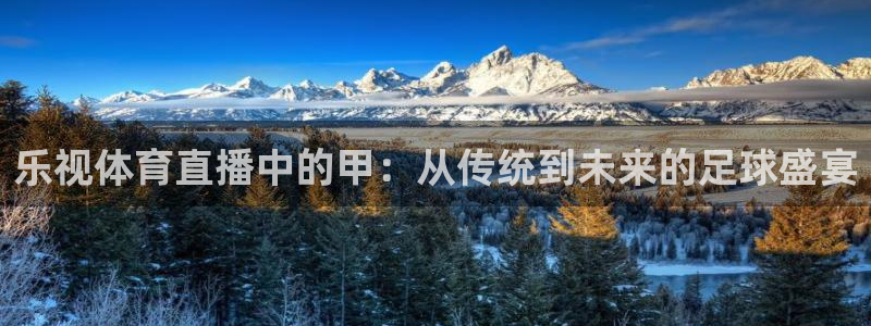 乐视体育直播中的甲：从传统到未来的足球盛宴