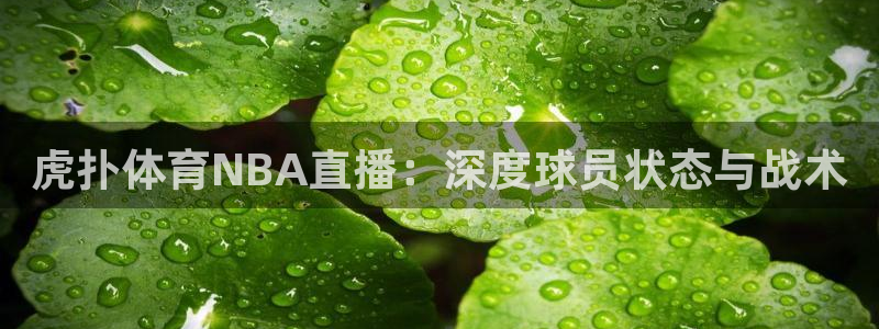 虎扑体育NBA直播：深度球员状态与战术