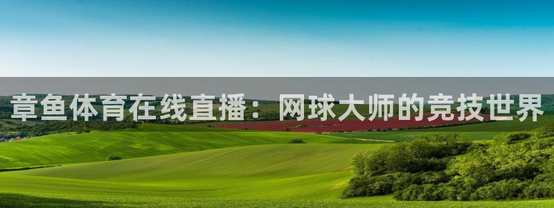章鱼体育在线直播：网球大师的竞技世界