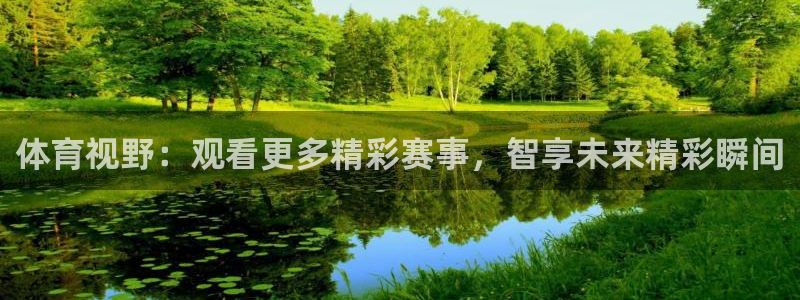 体育视野：观看更多精彩赛事，智享未来精彩瞬间